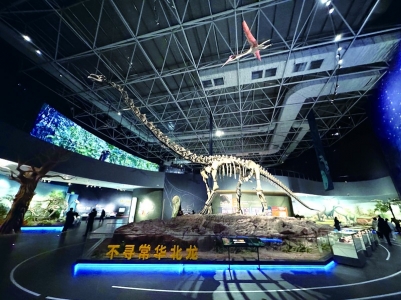 <br> ■河北地质大学博物馆新馆馆藏的“不寻常华北龙”化石<br><br>